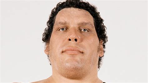 Wrestlers We Would Have Loved To See Andre The Giant Match Up Against