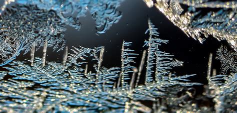 Kingfisher Imaging: Macro Ice Crystals on a Windshield