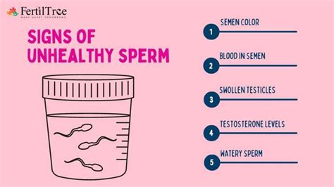 Top 5 Signs of Unhealthy Sperm & What to Do Next | FertilTree