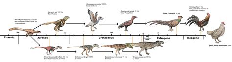 Tyrannosaurus Rex Evolution Before And After