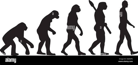 Darwin evolution of human Stock Vector Image & Art - Alamy