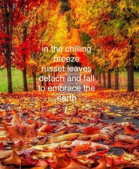 Russet Leaves – Haiku- A Poem by Anita Bacha – Anita Bacha