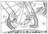 Get This Printable Circus Coloring Pages 63679 sketch template