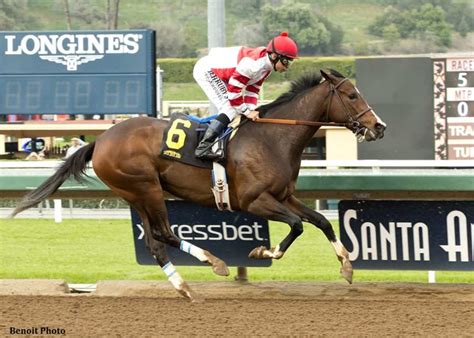 Songbird 'Breezing' In Latest Work At Santa Anita - Paulick Report | Shining Light on the Horse ...