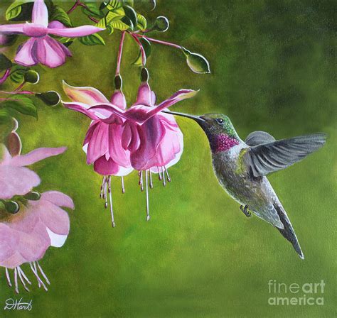 Hummingbird And Fuschia Painting by Debbie Hart