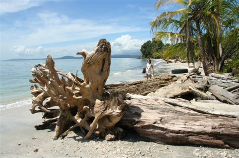 Cahuita National Park - Surfzone Costa Rica