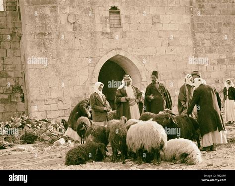 Sheep market at Herod's Gate. 1934, Jerusalem, Israel Stock Photo - Alamy