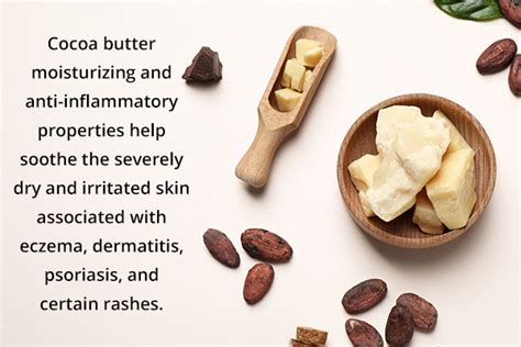 Cocoa Butter Vs Shea Butter: Differences & Beauty Benefits