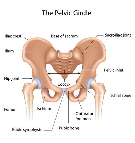 Sacroiliac Joint Pain | Physiotherapy Treatment Singapore. Fast pain relief. Time for a fuller life.