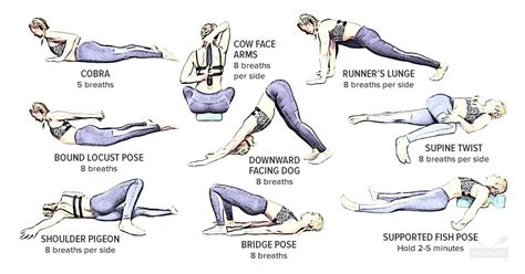 9 Yoga Poses to Reverse Bad Posture Caused by Sitting | Basic yoga poses, Easy yoga poses, Bad ...