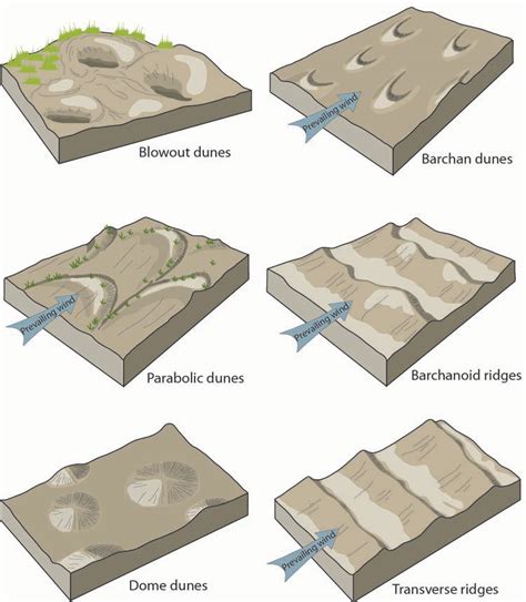 Aeolian (Dunes) Landforms - Geology (U.S. National Park Service)