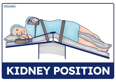 Lateral Recumbent Position Vs Sims Position : Rectal Exam Stanford ...