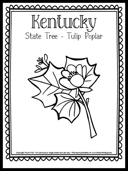 Kentucky State Tree Coloring Page [the Tulip Poplar!] {FREE Printable!} - The Art Kit