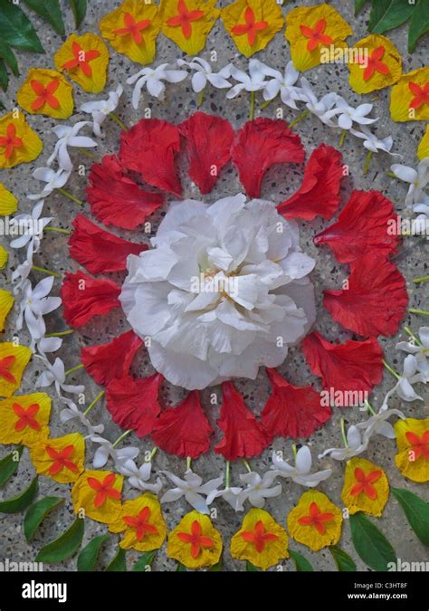 Athapookalam, Flower Design during Onam Festival, Kerala, India Stock Photo - Alamy