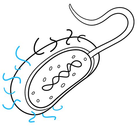 How to Draw Bacteria - Really Easy Drawing Tutorial