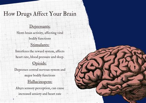 Your Brain On Drugs: How the Damage Is Done and How to Undo It - JourneyPure At The River