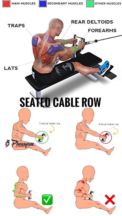 SEATED CABLE ROWS