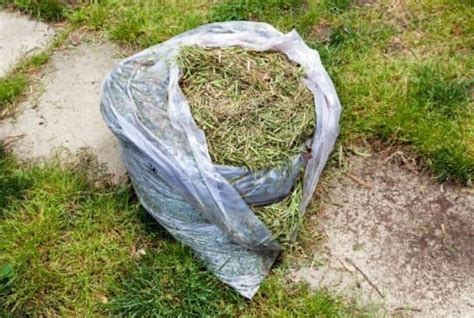 Can You Compost Grass Clippings? (And 7 Creative Ways To Use Them ...