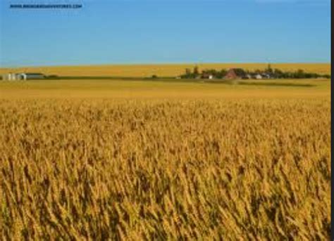 Interior Plains - The Regions of Canada