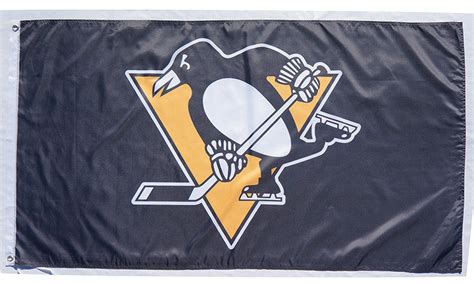 NHL Pittsburgh Penguins Flag-3x5FT Banner-100% polyester - flagsshop