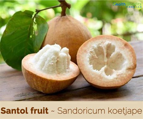 Santol fruit facts and health benefits