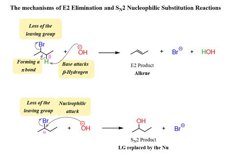 The E2 Reaction Mechanism