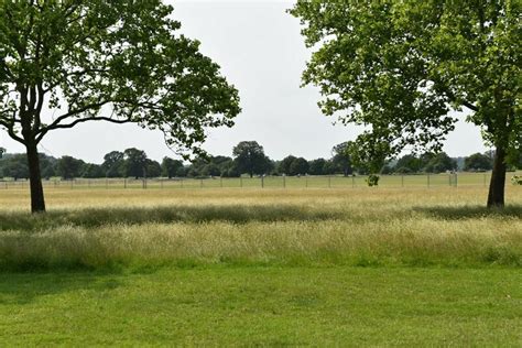 Windsor Great Park © N Chadwick :: Geograph Britain and Ireland