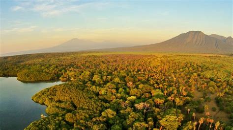 Baluran National Park | Ijen Bridge