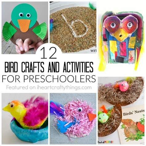 12 Bird Crafts and Activities for Preschoolers