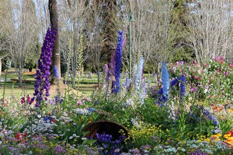 Australia Gardens Series - Queens Park Botanical Garden - Toowoomba ...