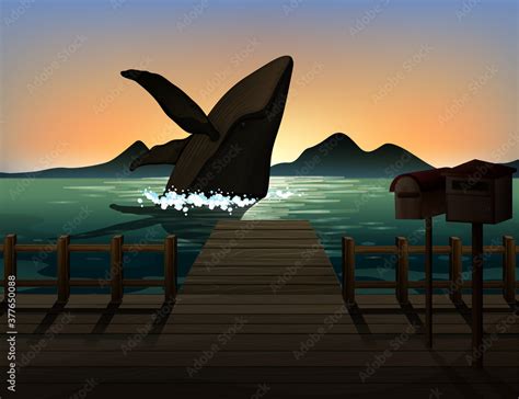 Humpback whale in nature scene silhouette Stock Vector | Adobe Stock