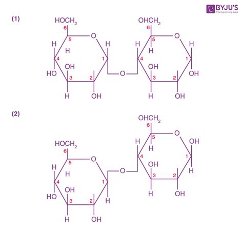 Chemical Structure Of Maltose, Anatomy Of Maltose,, 42% OFF