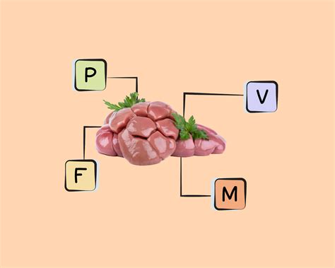 Beef Kidney Nutrients