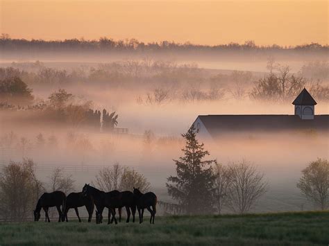 You Can Now Visit The Farms Of The World's Most Famous Horses - Condé ...