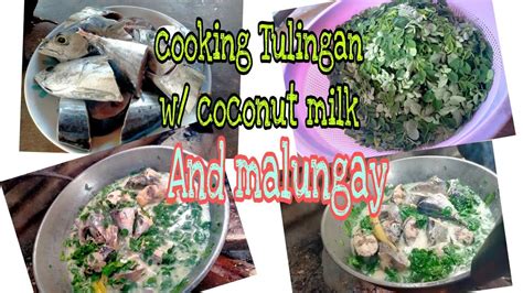 cooking of tulingan w/ coconut milk and malunggay#asmryummy ...