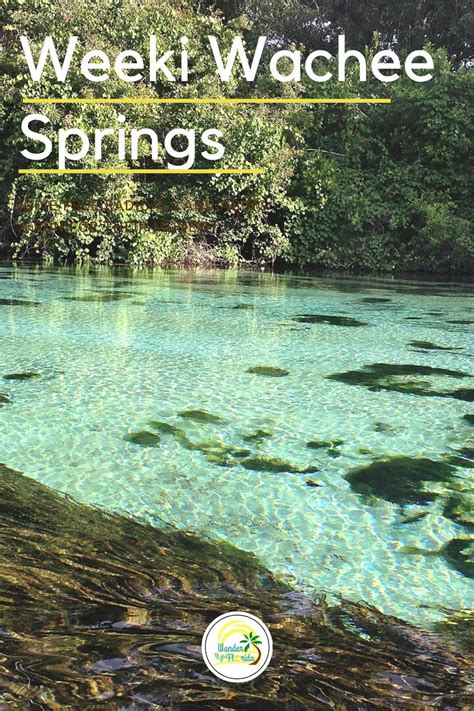 Paddling the weeki wachee river – Artofit