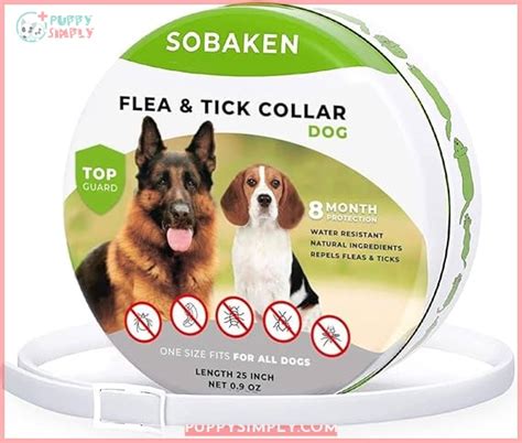 Best Flea Collar for Dogs: Top 10 Picks & Essential Safety Tips