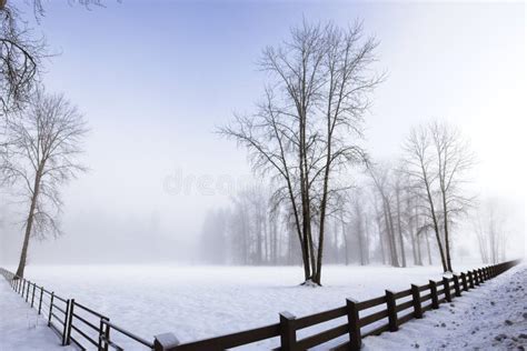 Winter Landscape Photo of Barren Tree in Field Stock Image - Image of ...