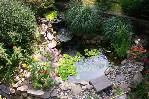 Amazing Backyard Pond Design Ideas – The WoW Style