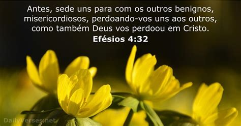 Efésios 4:32 - Versículo da Bíblia - DailyVerses.net