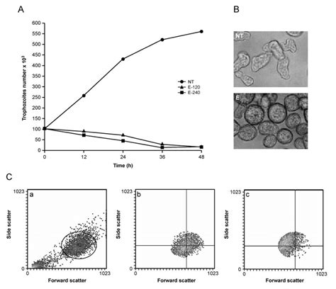 Effects of emetine in the viability and morphology of E. histolytica ...