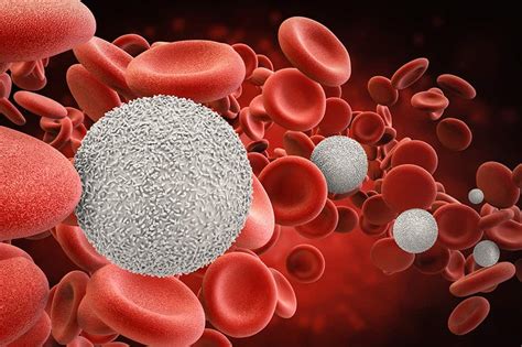 Blood cancer: symptoms, types of blood cancer and treatment