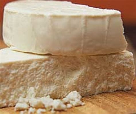 FDA Moves to Close New York Cheese Factory - The Shelby Report