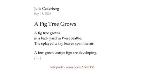 A Fig Tree Grows by Julie Cederberg - Hello Poetry