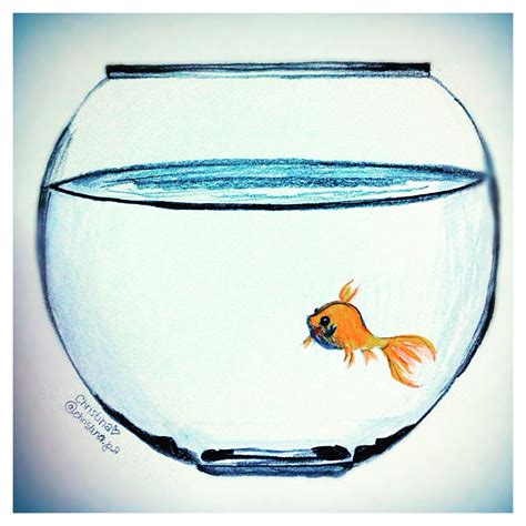 Fish in a fishbowl art | Fish drawings, Fish art, Fish tank drawing