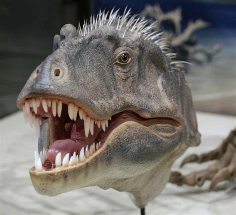 Paleontologists Reveal First Embryonic Tyrannosaur Fossils | RealClearScience