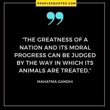 Gandhi Quotes About Animals - Peoples Quotes