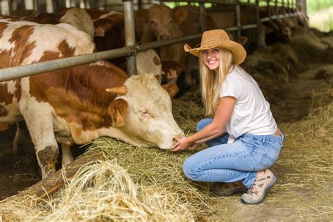 Farmer With Cows Free Stock Photo - Public Domain Pictures