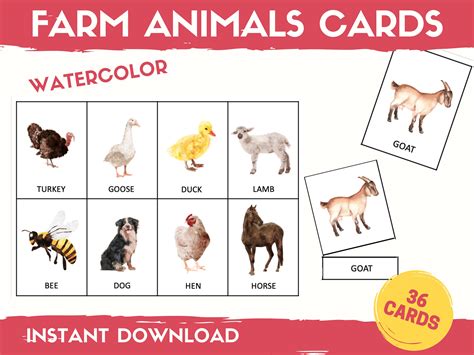 Farm Animals Montessori Cards Farm Flash Cards Three Part - Etsy UK