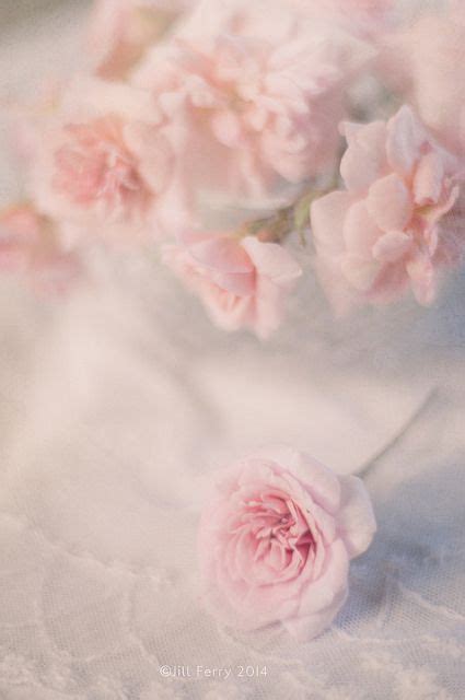 some pink flowers on a white table cloth